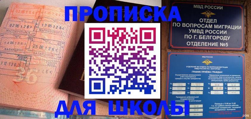 прописка иностранных граждан в Дальнегорске